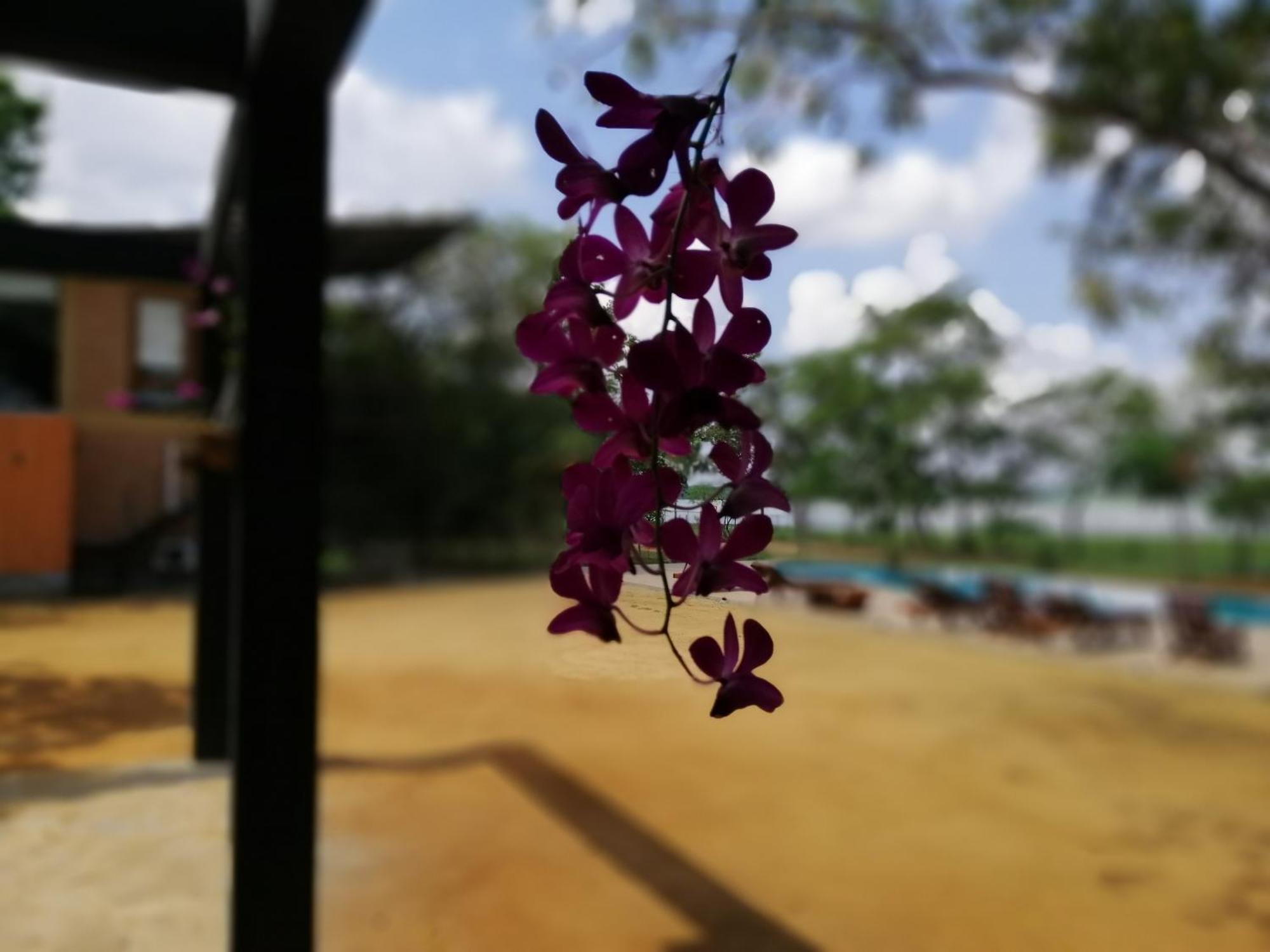 Breezy Lake Tissamaharama Ngoại thất bức ảnh