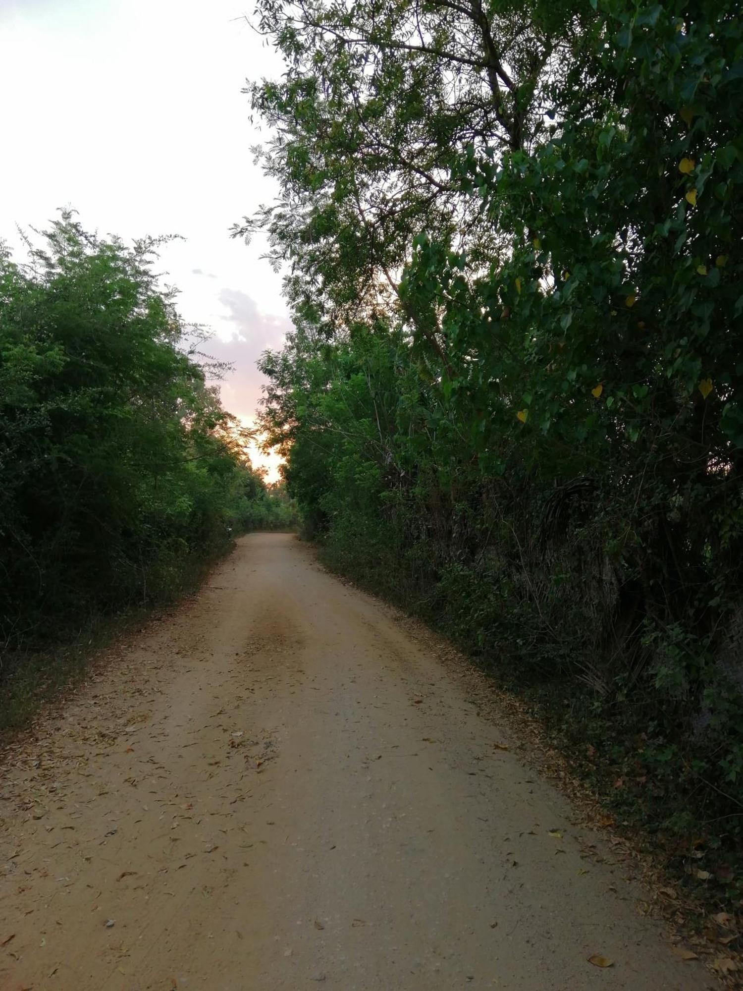 Breezy Lake Tissamaharama Ngoại thất bức ảnh