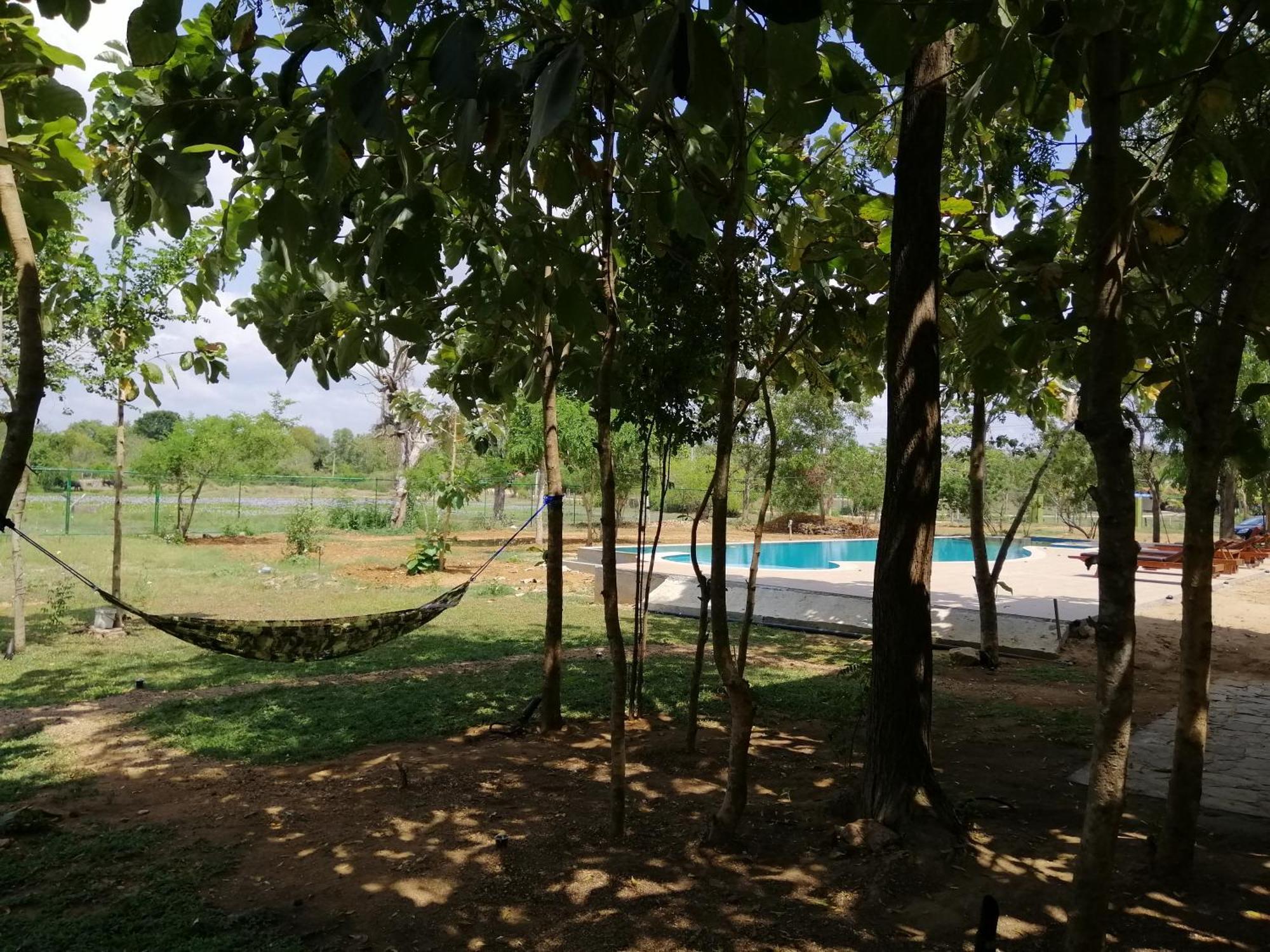 Breezy Lake Tissamaharama Ngoại thất bức ảnh