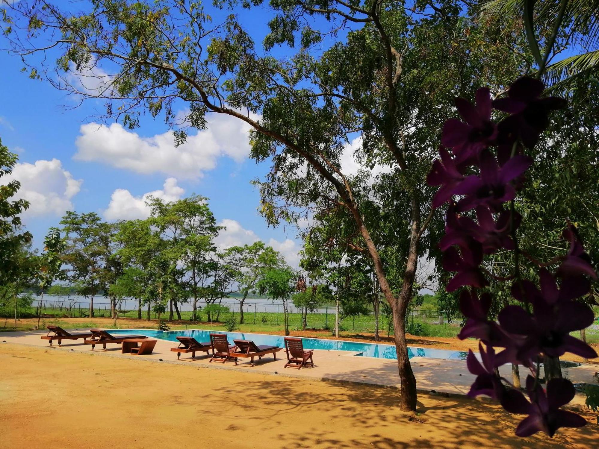 Breezy Lake Tissamaharama Ngoại thất bức ảnh