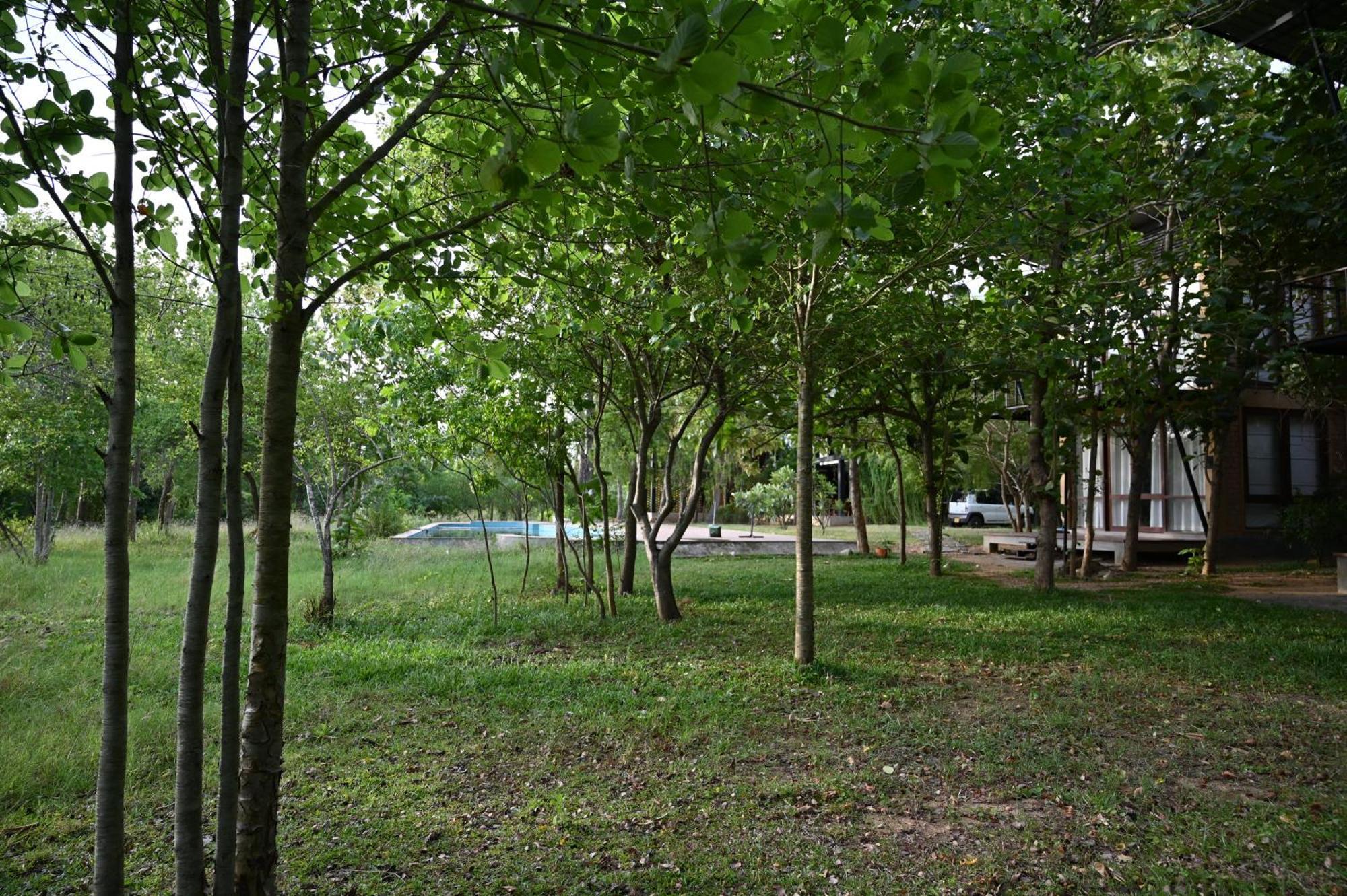 Breezy Lake Tissamaharama Ngoại thất bức ảnh