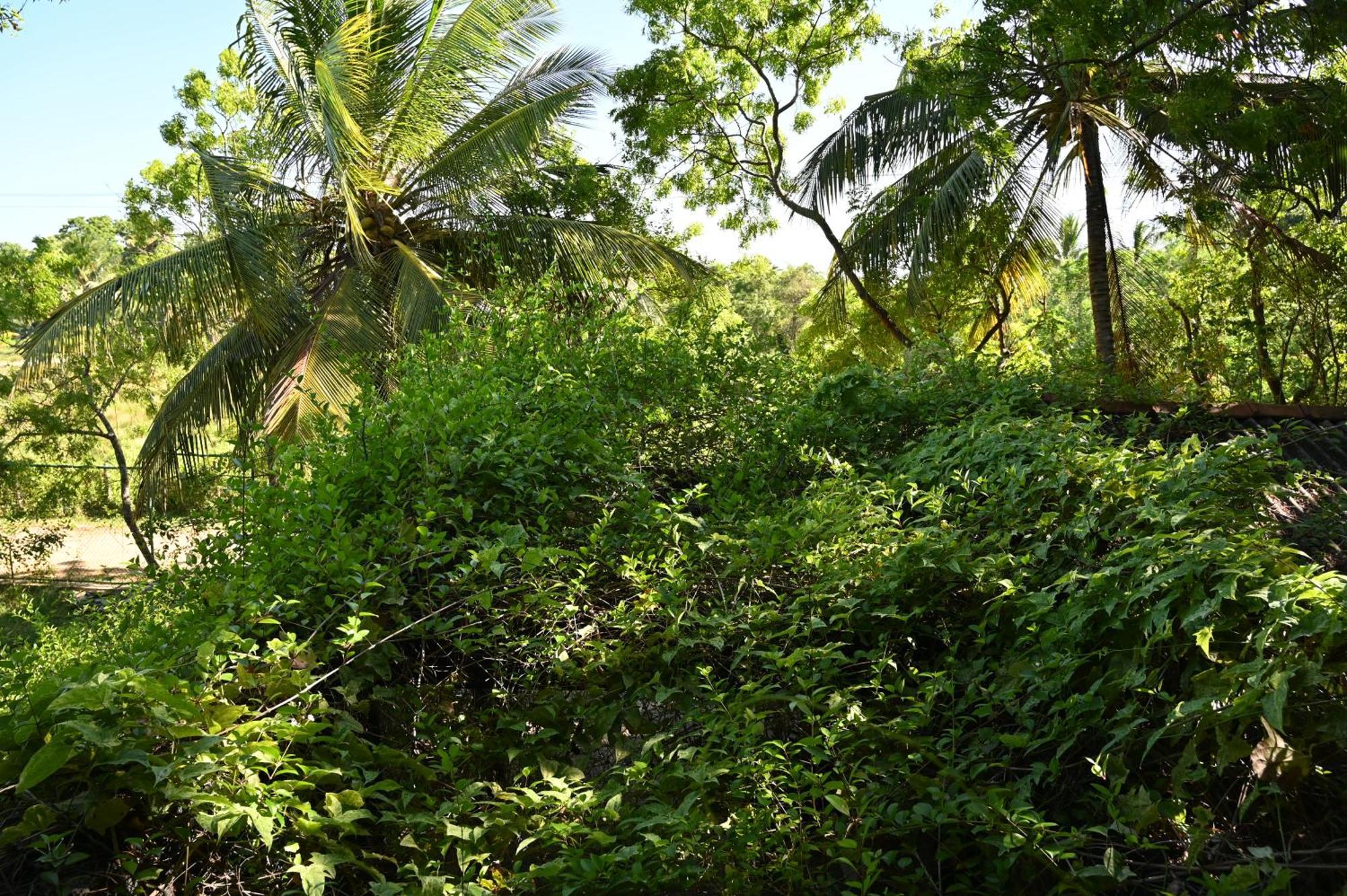 Breezy Lake Tissamaharama Ngoại thất bức ảnh