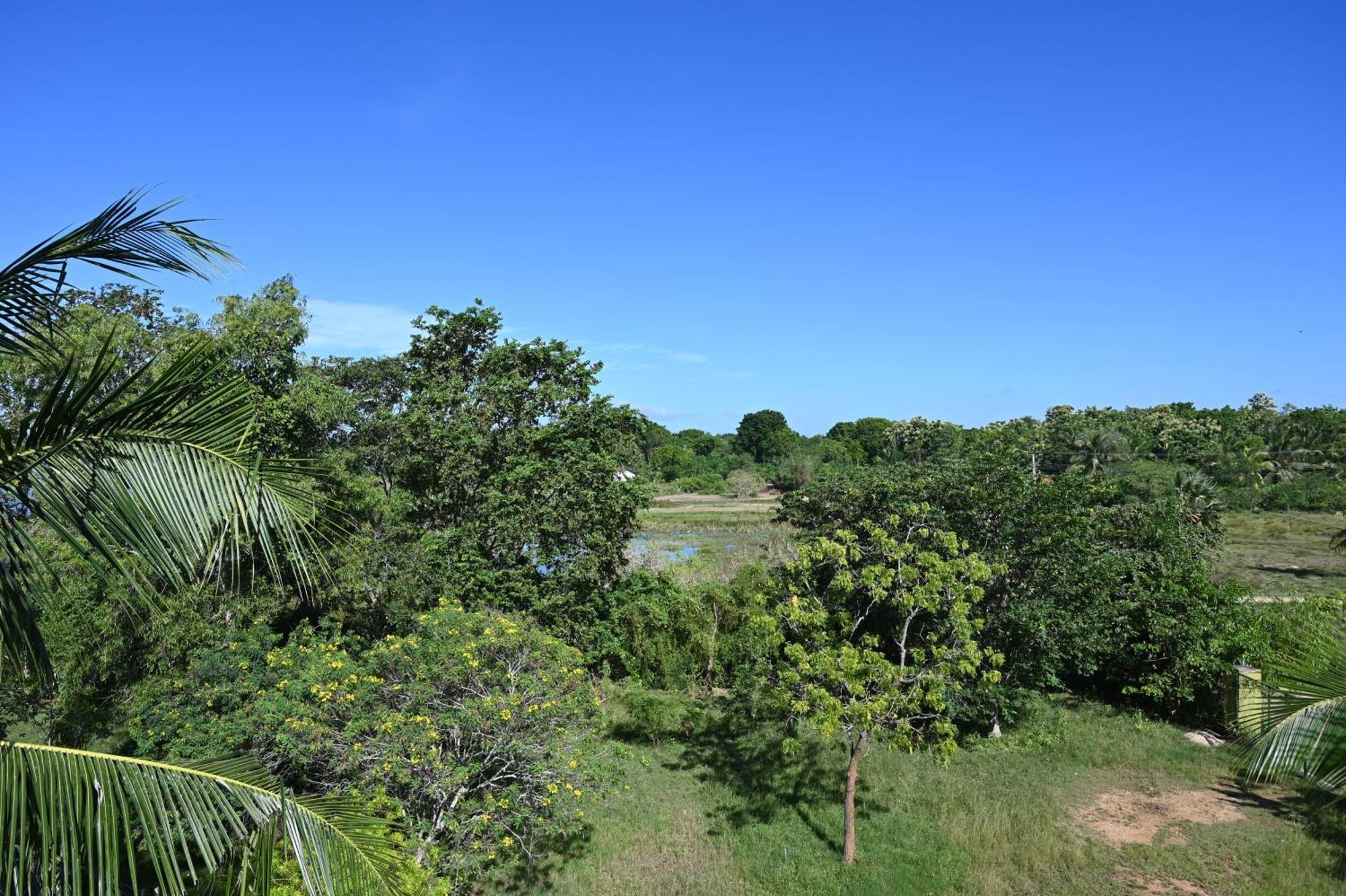 Breezy Lake Tissamaharama Ngoại thất bức ảnh