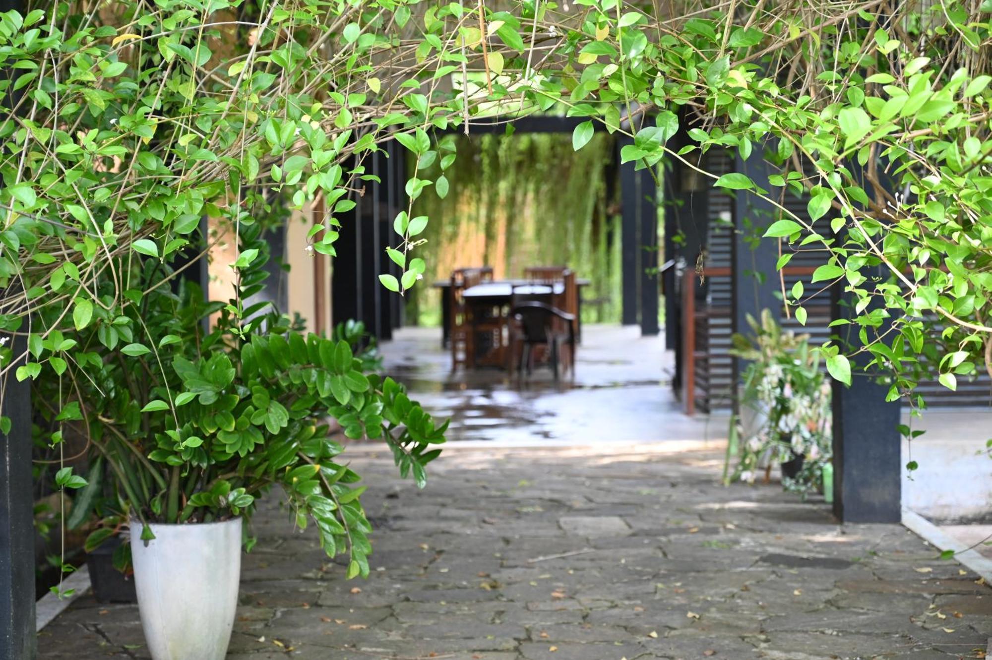 Breezy Lake Tissamaharama Ngoại thất bức ảnh
