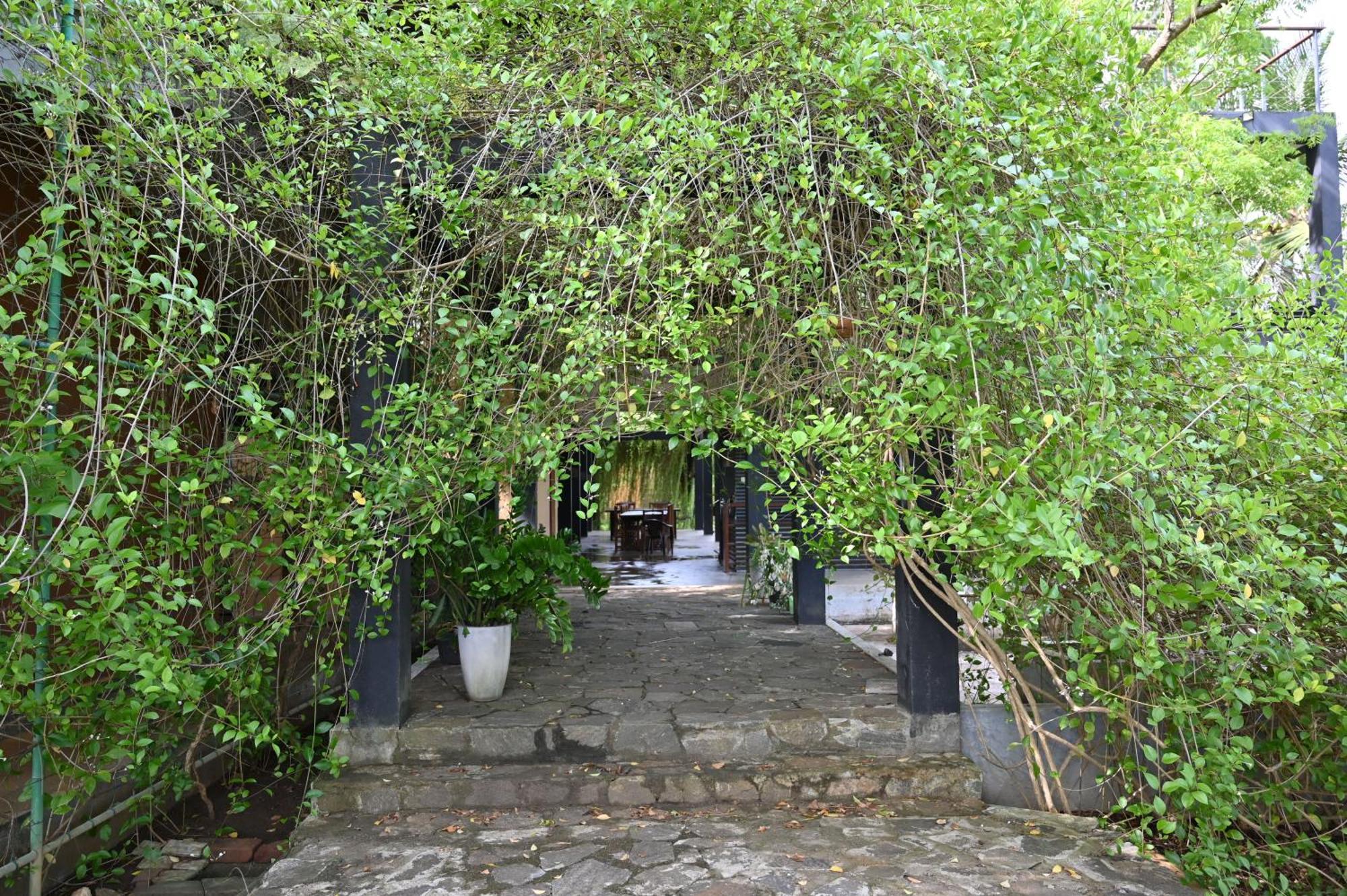 Breezy Lake Tissamaharama Ngoại thất bức ảnh
